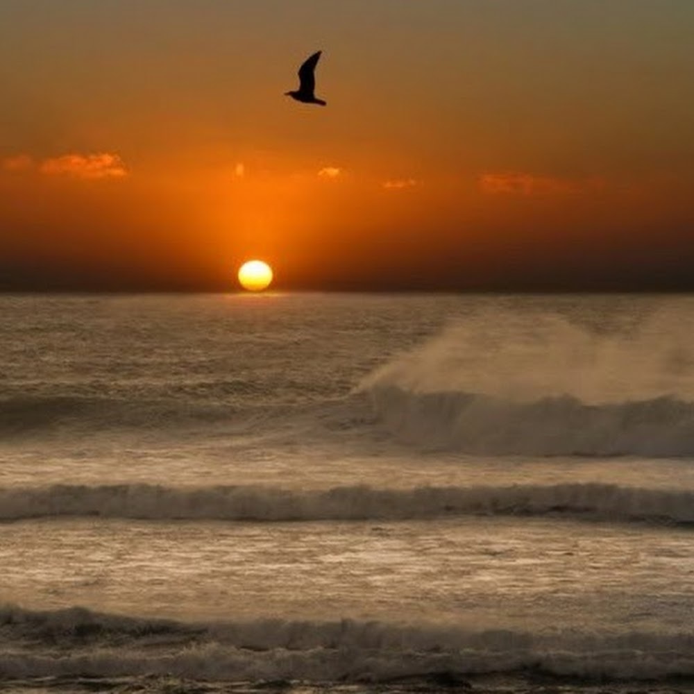 Meet your Posher, Christy